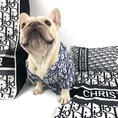 Dior Dog 